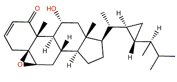 Stoloniferone D